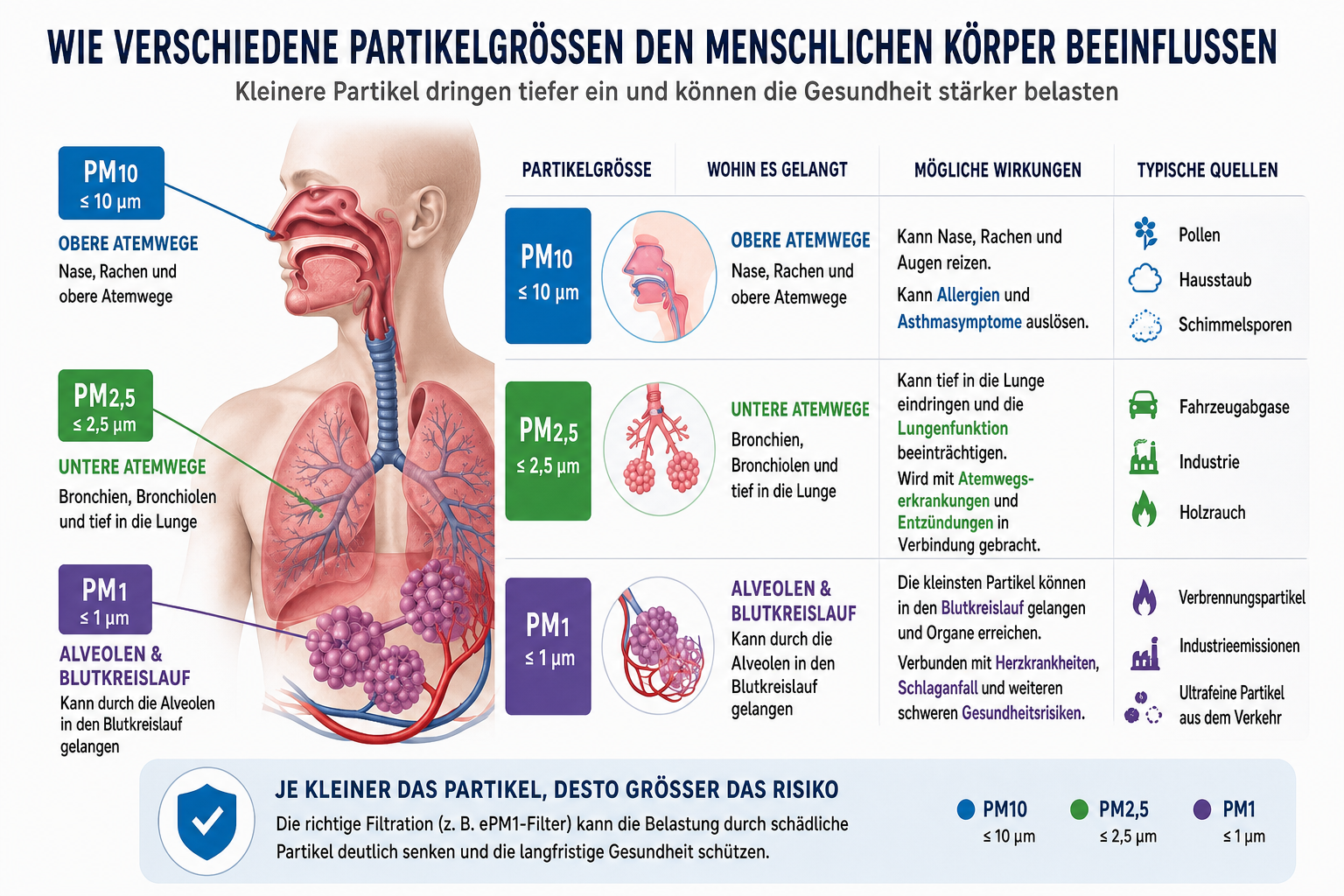 PM10 PM2,5 und PM1 in den menschlichen Atemwegen